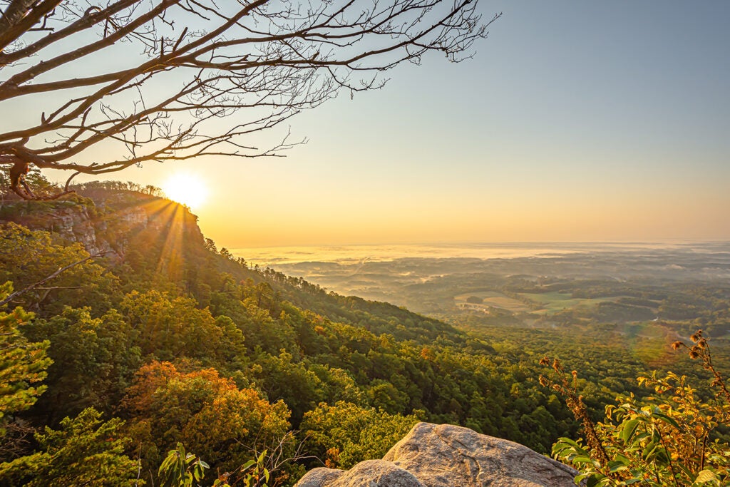 Funeral and Cremation Services | Affordable Funerals and Cremations of